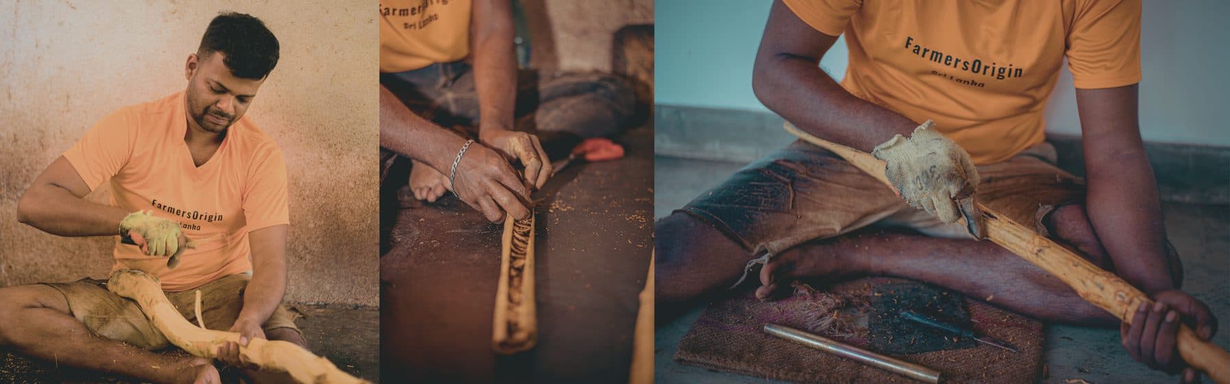 Skilled Diyesta peelers hand-processing fresh Ceylon cinnamon bark at the Diyadola Estate