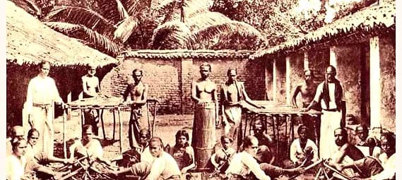 A traditional Ceylon cinnamon peeling yard in Sri Lanka, reflecting the centuries-old craft Diyesta has carried since 1935